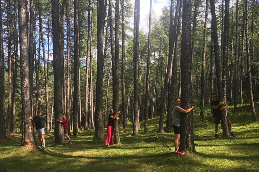 Forest Bathing Piemonte