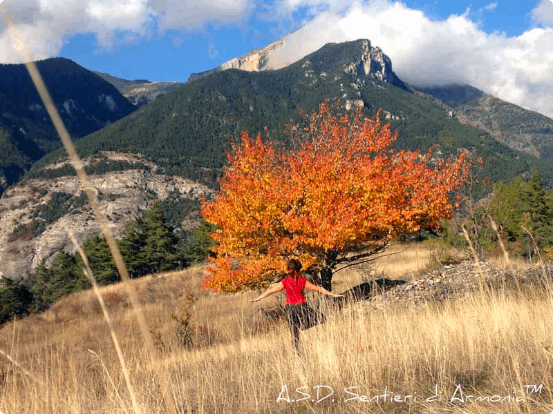 Yoga in montagna in autunno